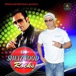 Dj Sheizwood Rocks - Ujwala Jadhav Song Download